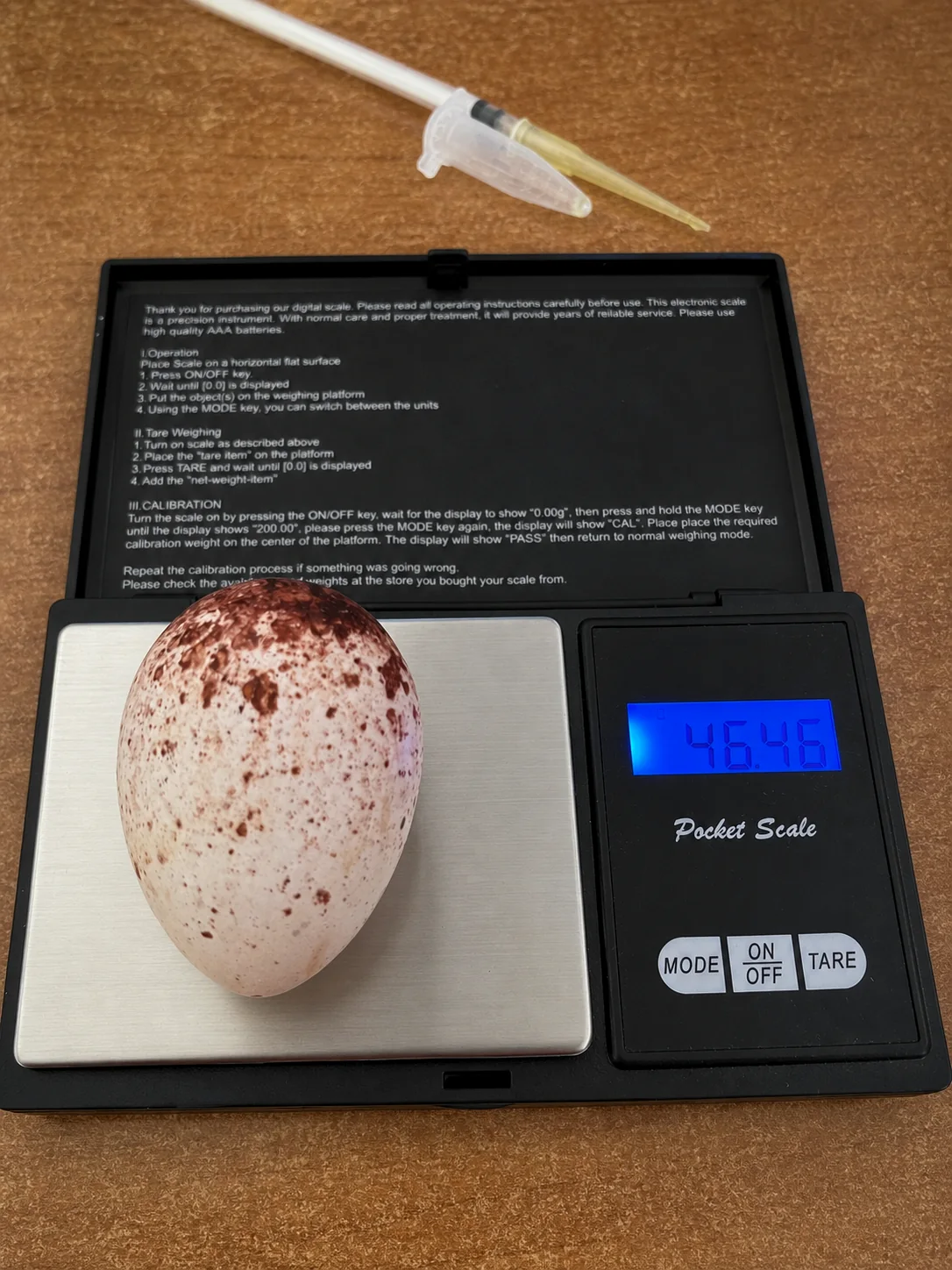 Huevo de halcón sobre una báscula de precisión